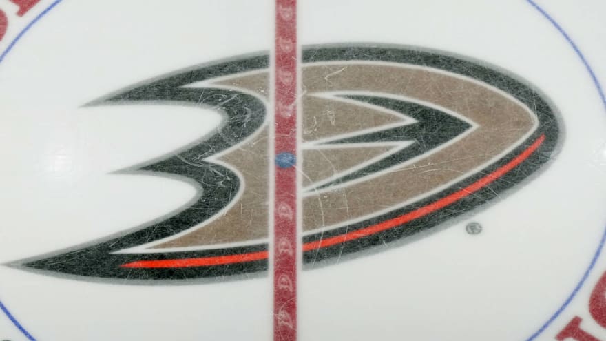 Ducks make multiple front office moves