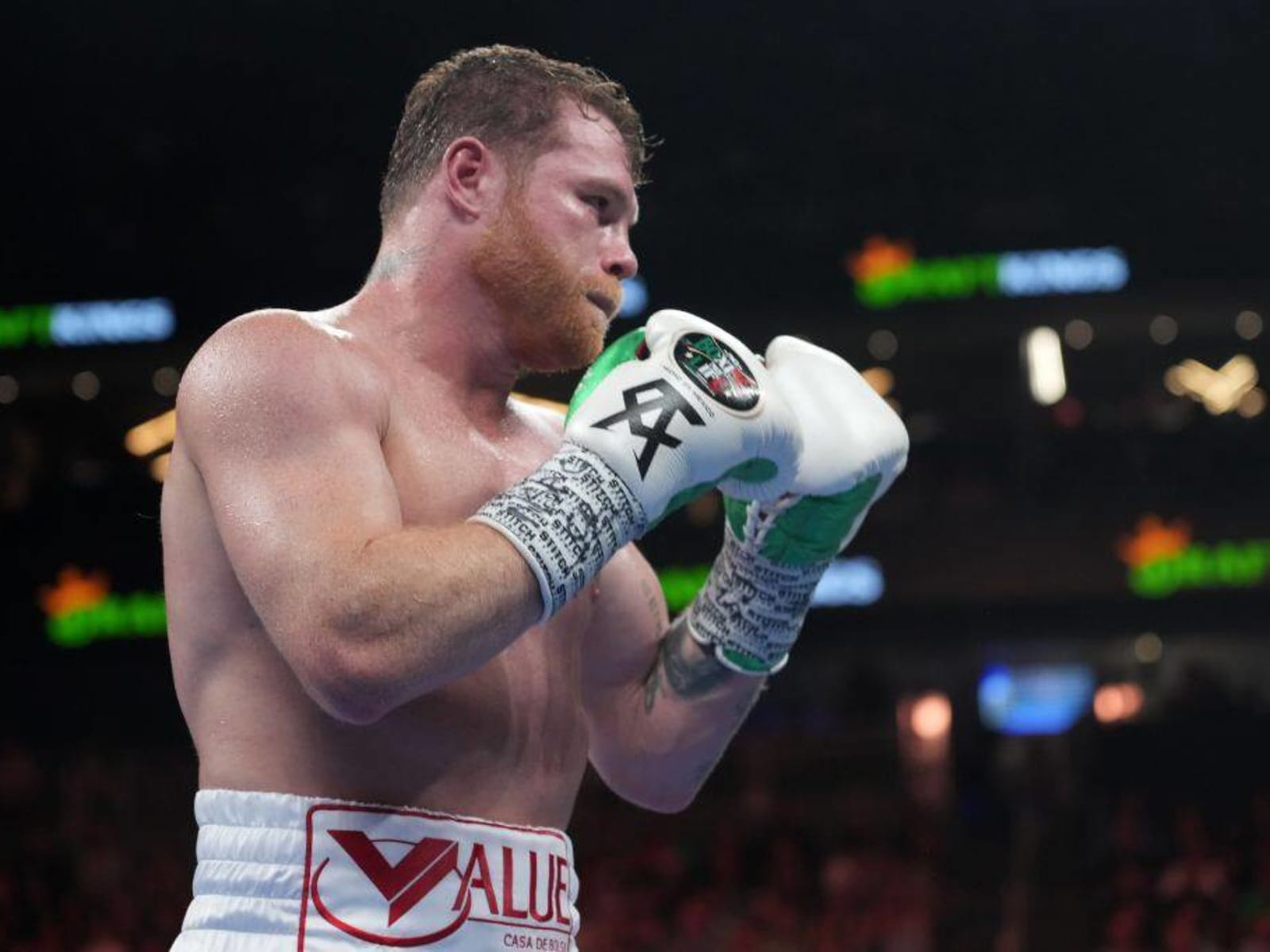 Watch Canelo Alvarez vs