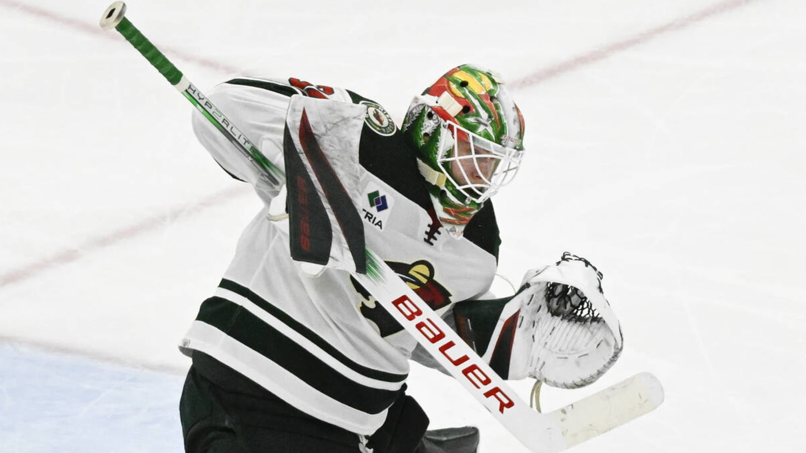 Minnesota Wild send two players to AHL affiliate