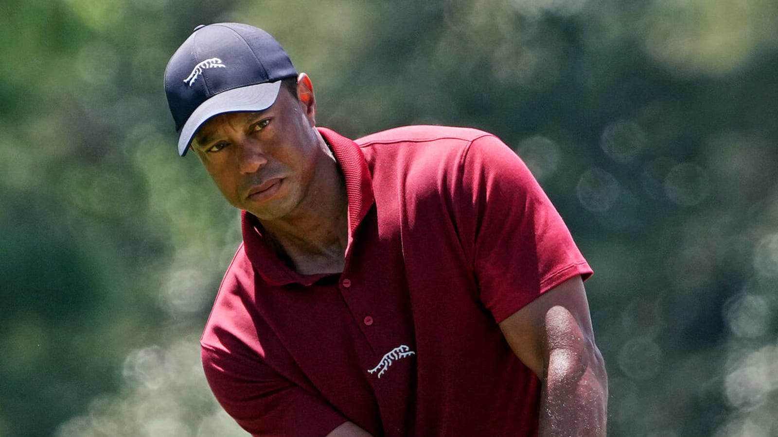 Prime Tiger Woods vs. present-day Scottie Scheffler isn't close