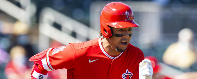 Jon Jay: Breaking News, Rumors & Highlights