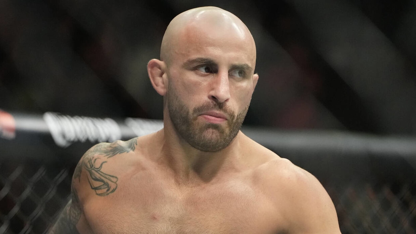 Ufc vr outlet