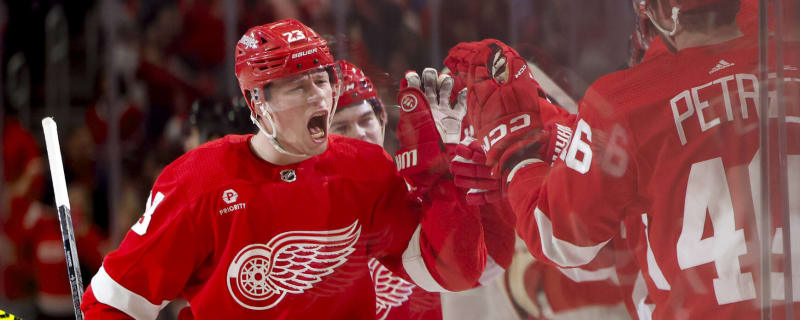 Red Wings GM says team progressed but must improve