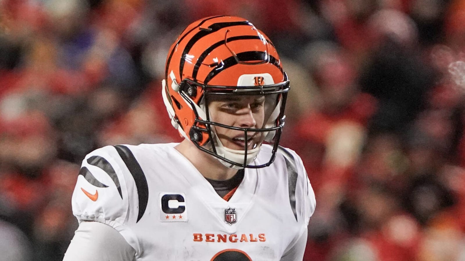 Cincinnati Bengals ceiling and floor for 2023