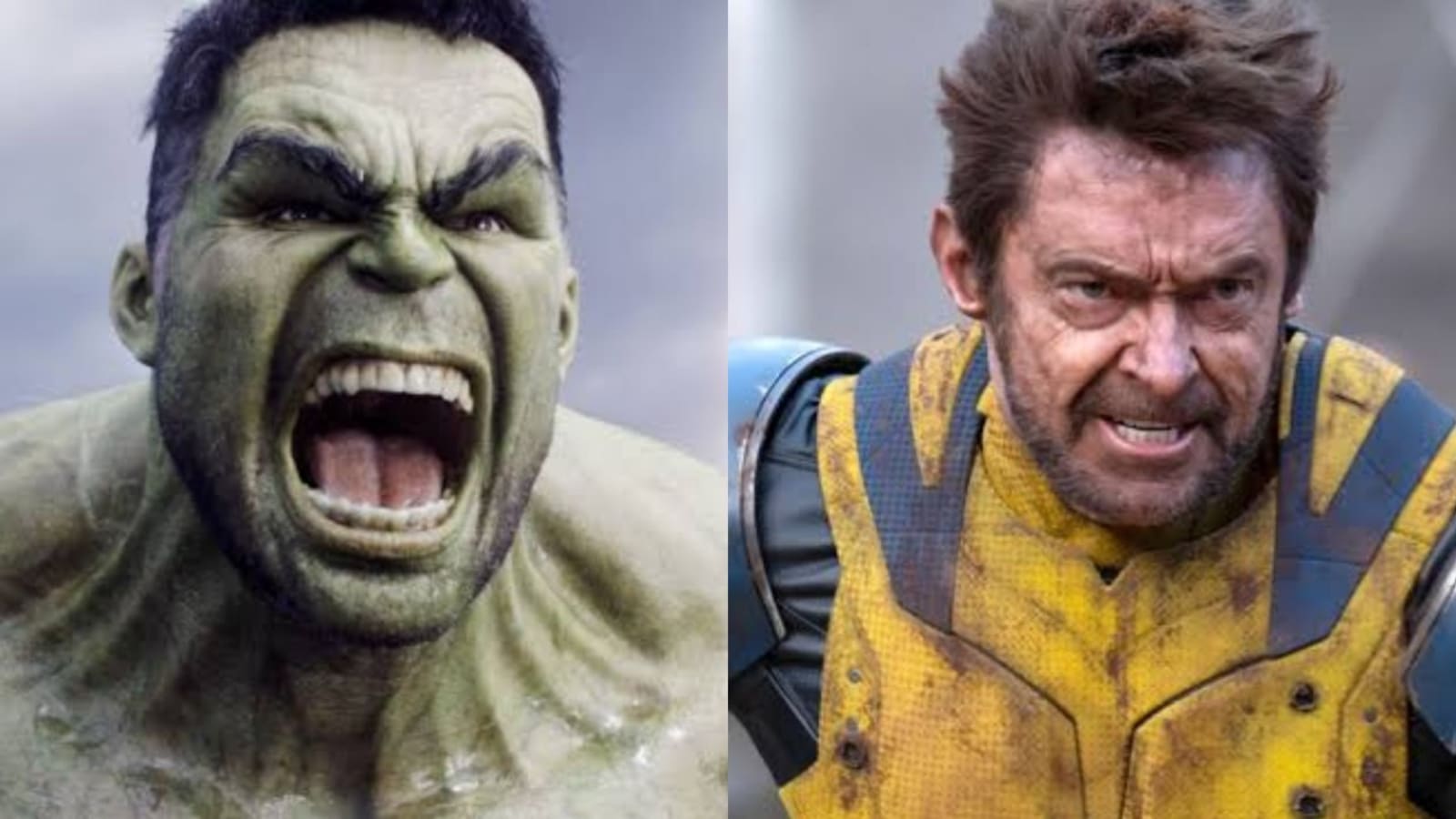 Hulk Vs. Wolverine Movie Is Reportedly Being Developed By Marvel Studios, And It Will Be A Clash To Remember