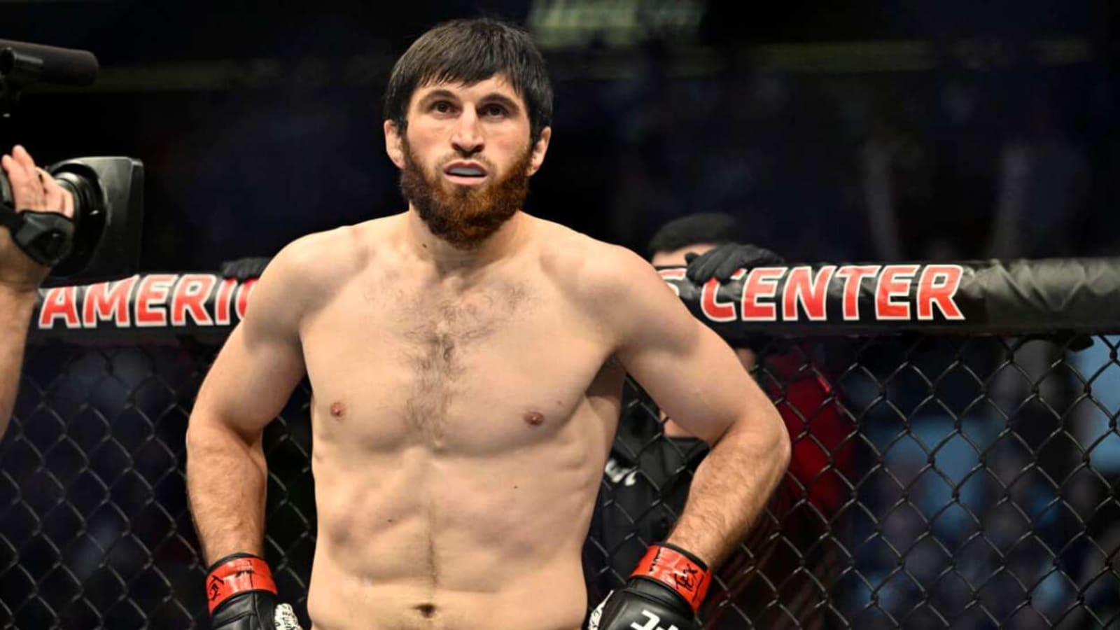 UFC 308 Preview and Prediction: Magomed Ankalaev – Aleksandar Rakic