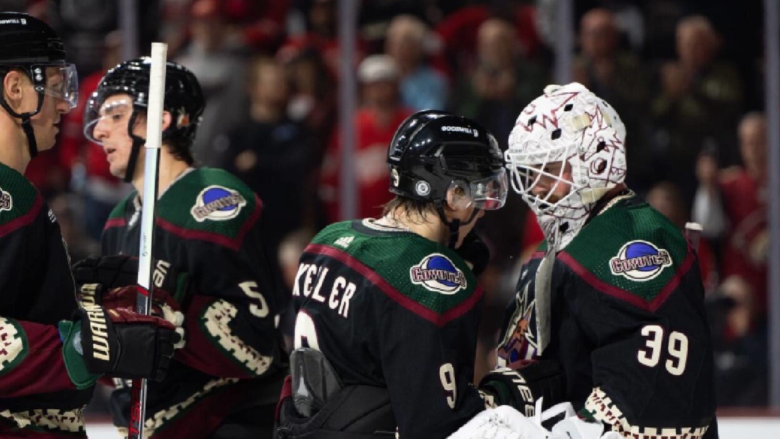 A farewell to the Arizona Coyotes