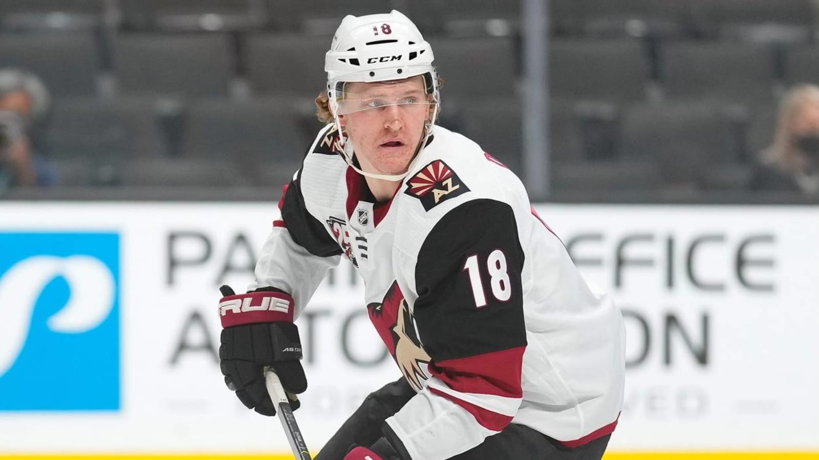 Bruins among several teams interested in Coyotes' Dvorak