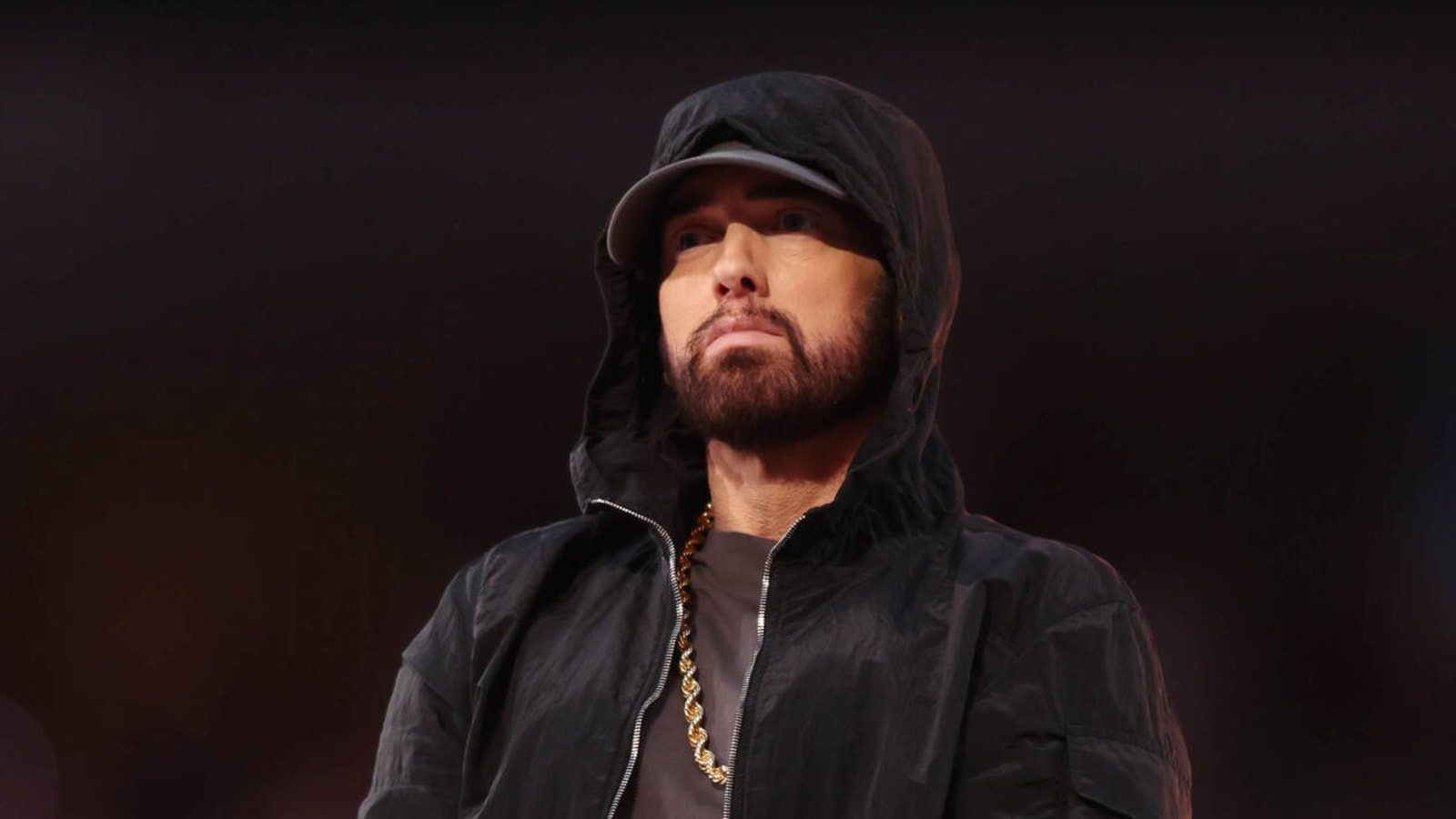 Look: Eminem flips the bird on 49ers fans during NFC title game