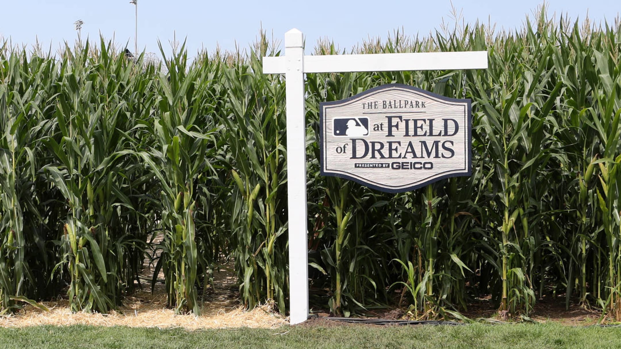 MLB confirms 2022 Field of Dreams game in Dyersville