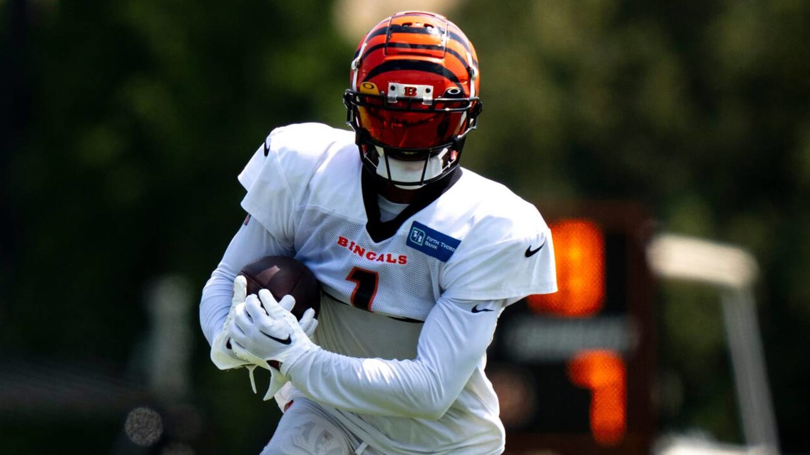 Bengals white tiger helmets: Why Cincinnati wants NFL to change