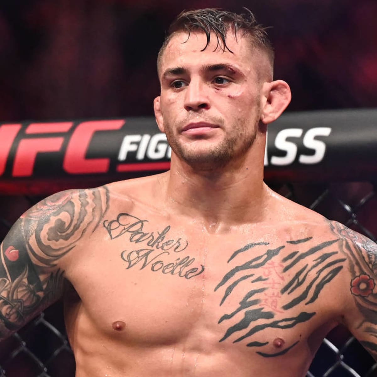 Buff stream ufc 242 sales