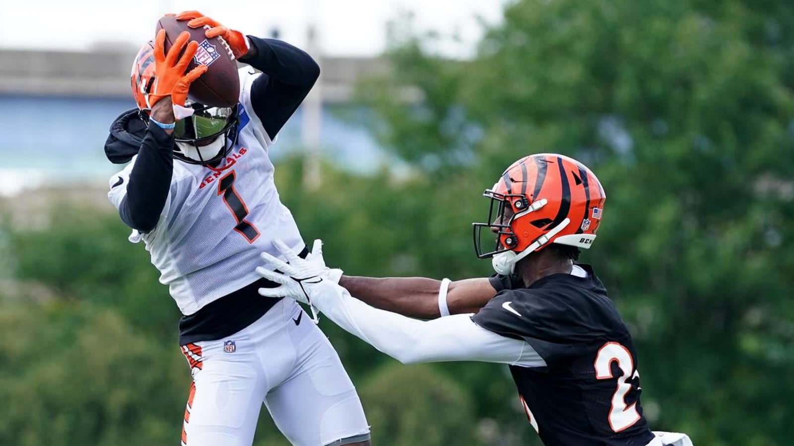 Ja'Marr Chase snags slick one-handed grab over Eli Apple