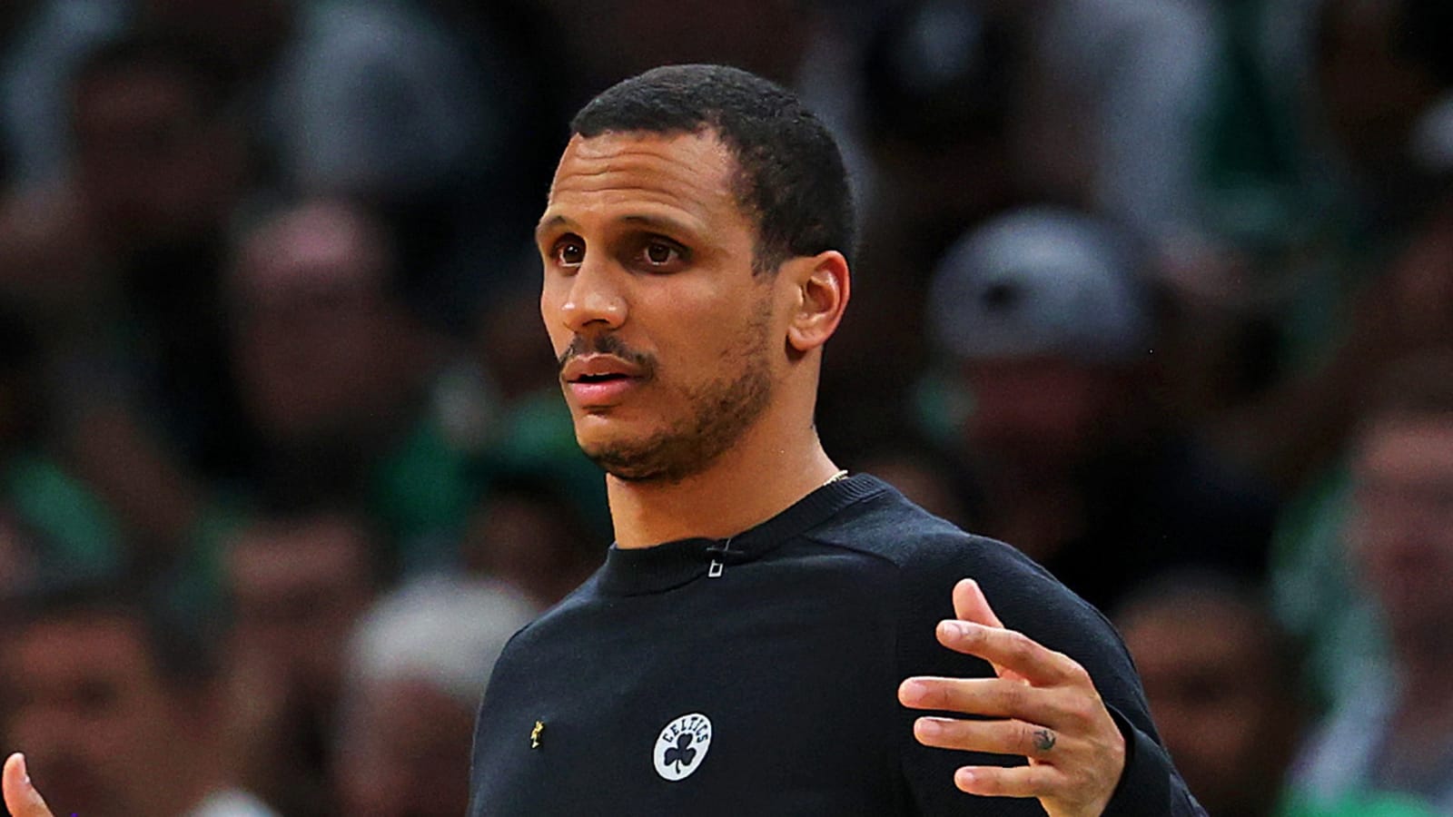 Joe Mazzulla taking inspiration from the animal kingdom as he leads Celtics