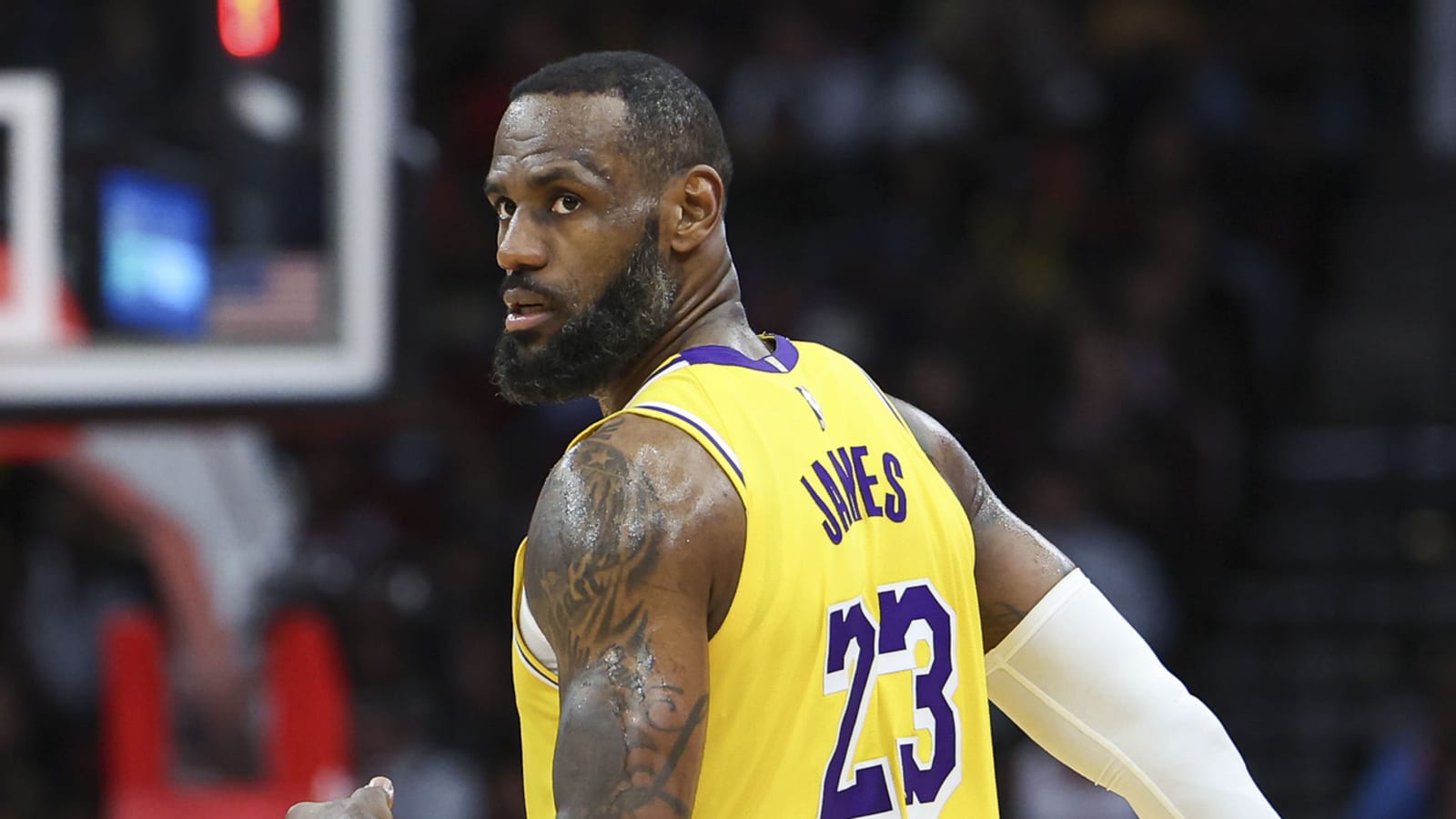 Lebron the land shop