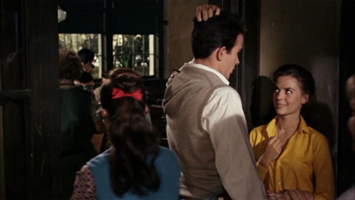 "Splendor in the Grass" (1961)