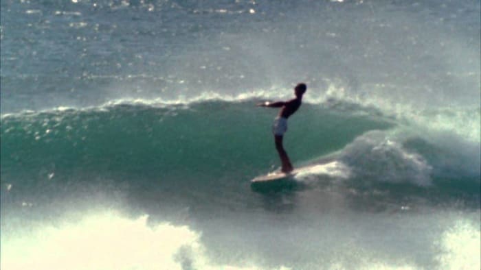 The Endless Summer (1966)