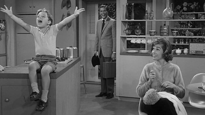 "The Dick Van Dyke Show" (1963-64, 1966)