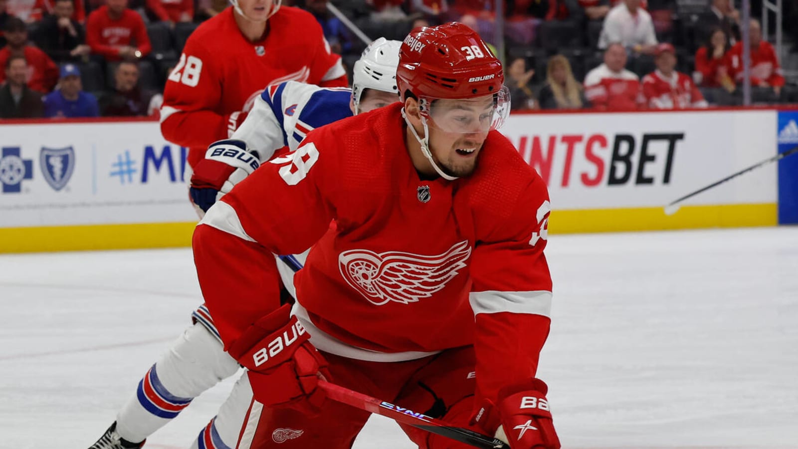 Ducks sign former Red Wings defenseman