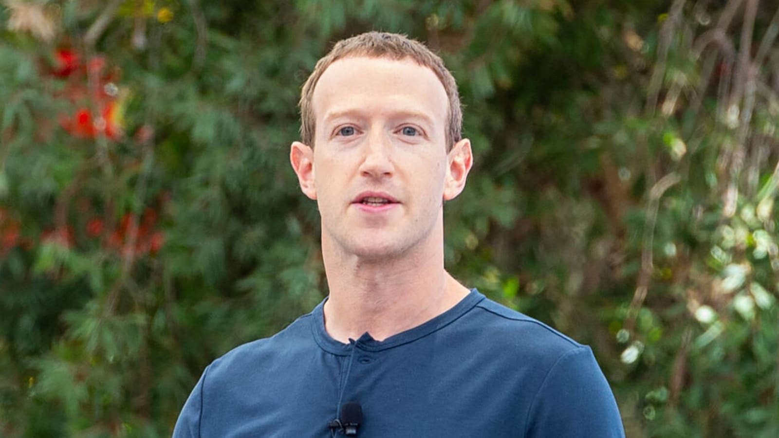 Mark Zuckerberg's MMA career put on hold by ACL tear