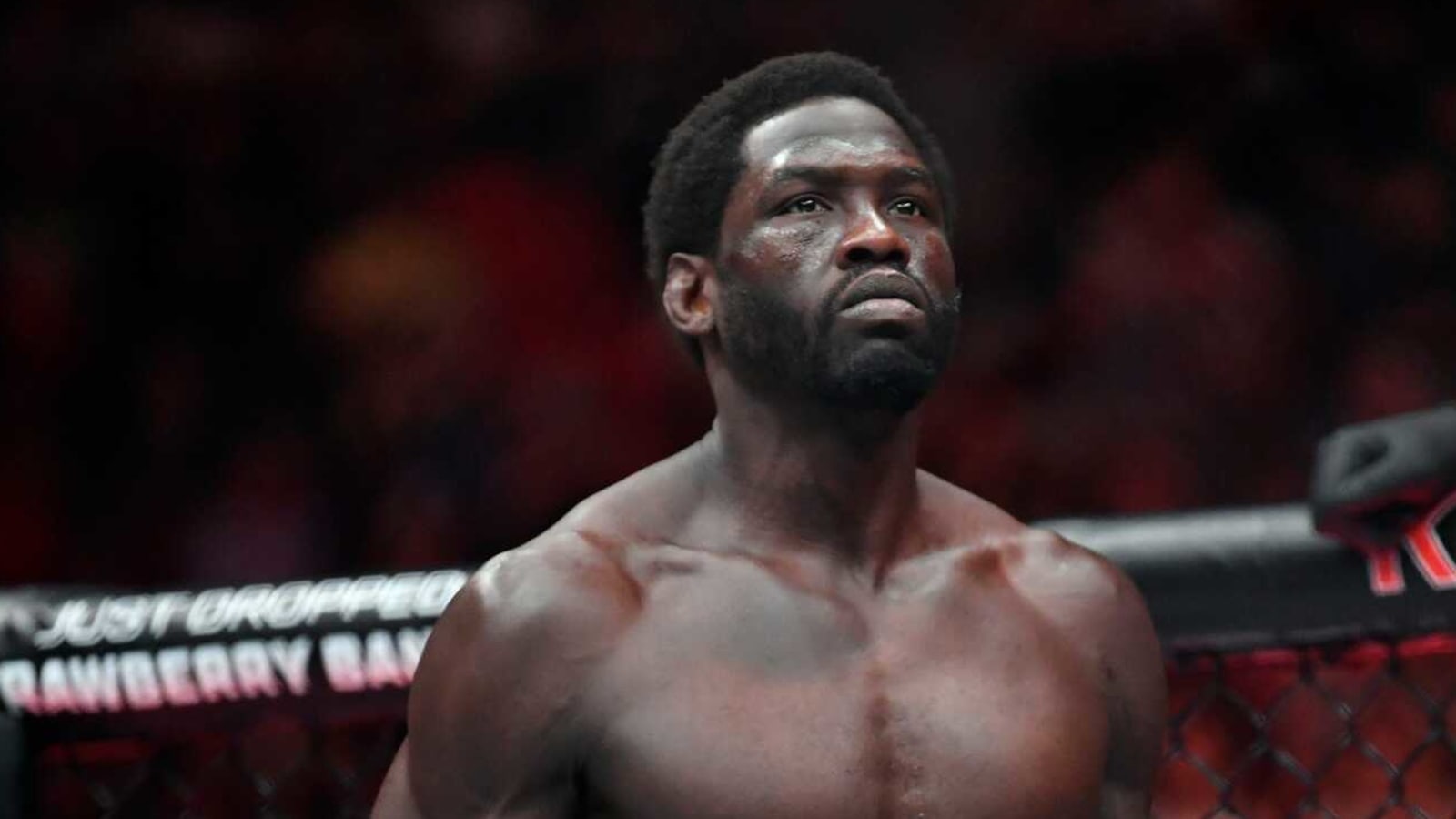 Jared Cannonier, Caio Borralho to headline UFC Vegas 96