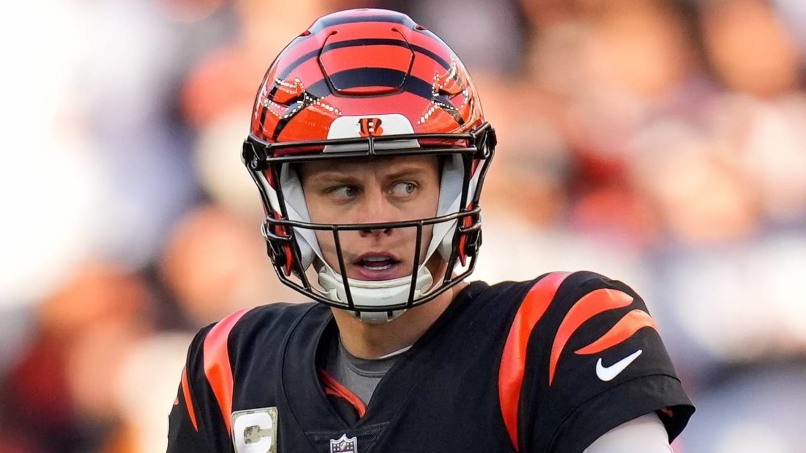 Week 11 NFL underdog report: Bengals punch up in the AFC North