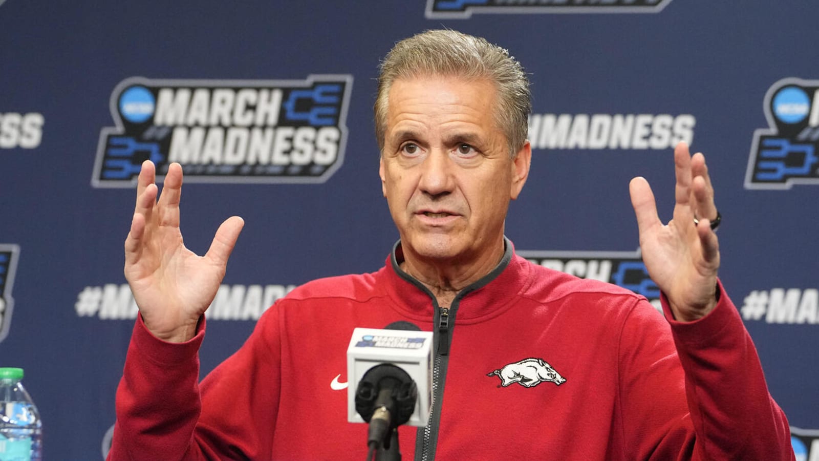 Arkansas receives commitment from professional Lebanese hooper