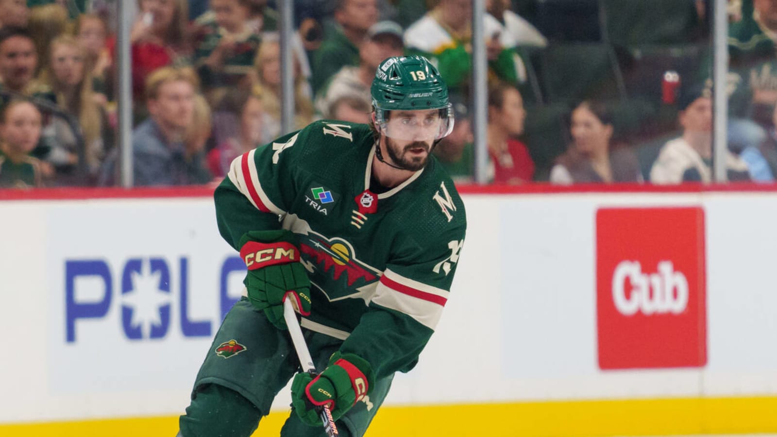 Minnesota Wild recall Nic Petan