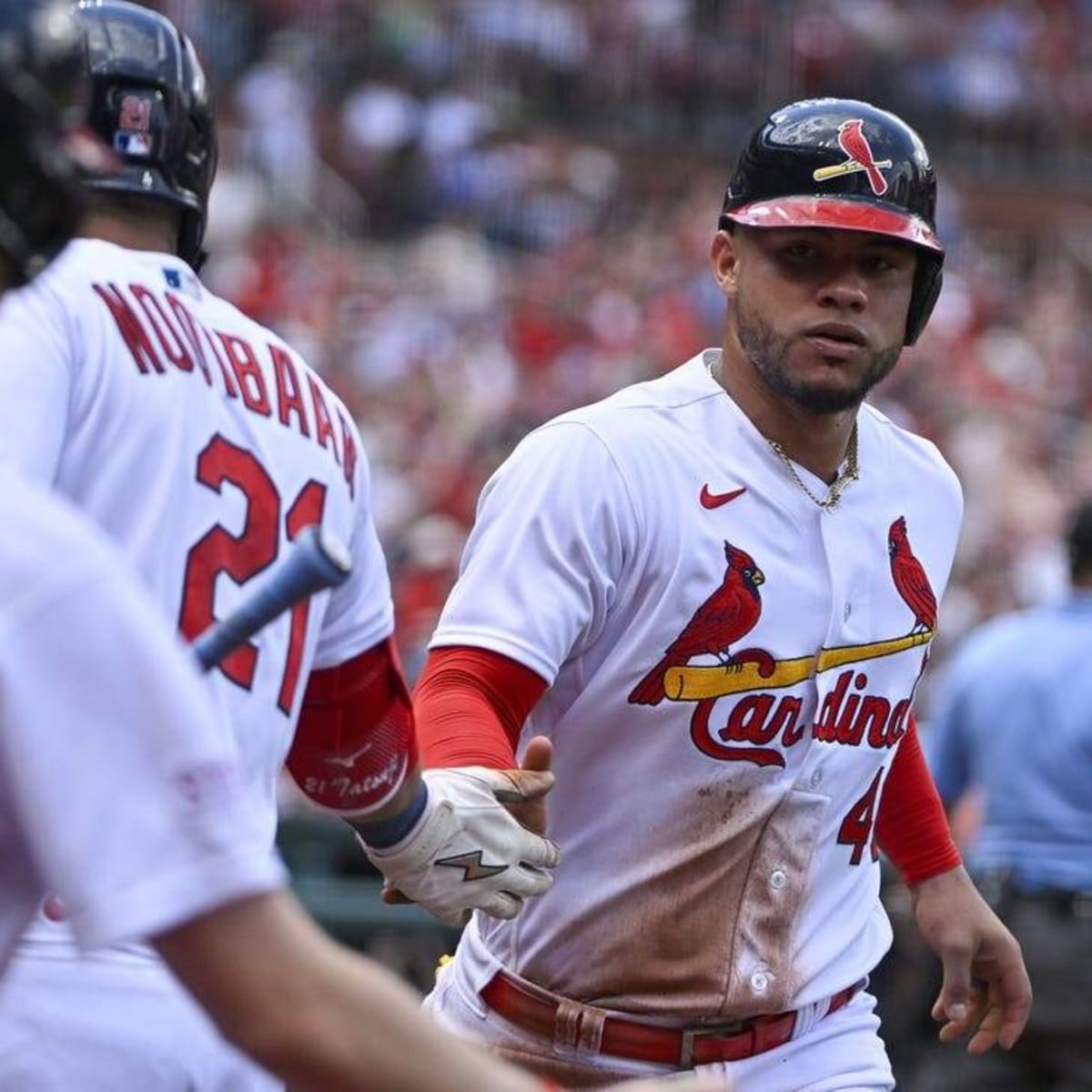 MLB Odds: Cardinals-Cubs prediction, odds and pick - 8/24/2022