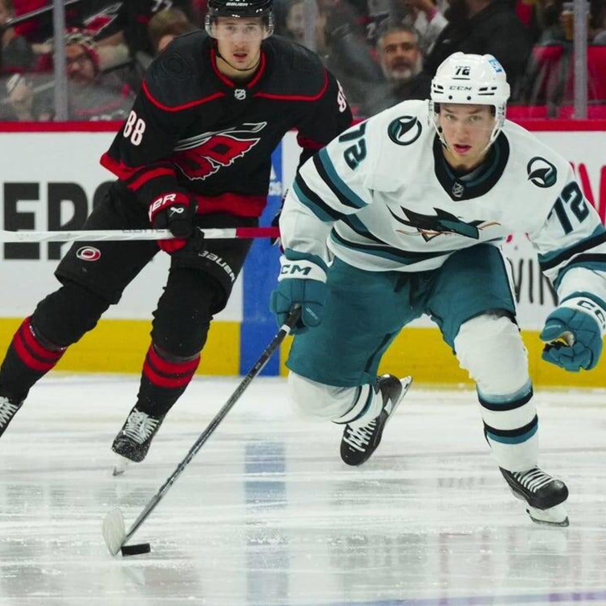 New Jersey Devils: Tomas Hertl is a Perfect Fit Right Now