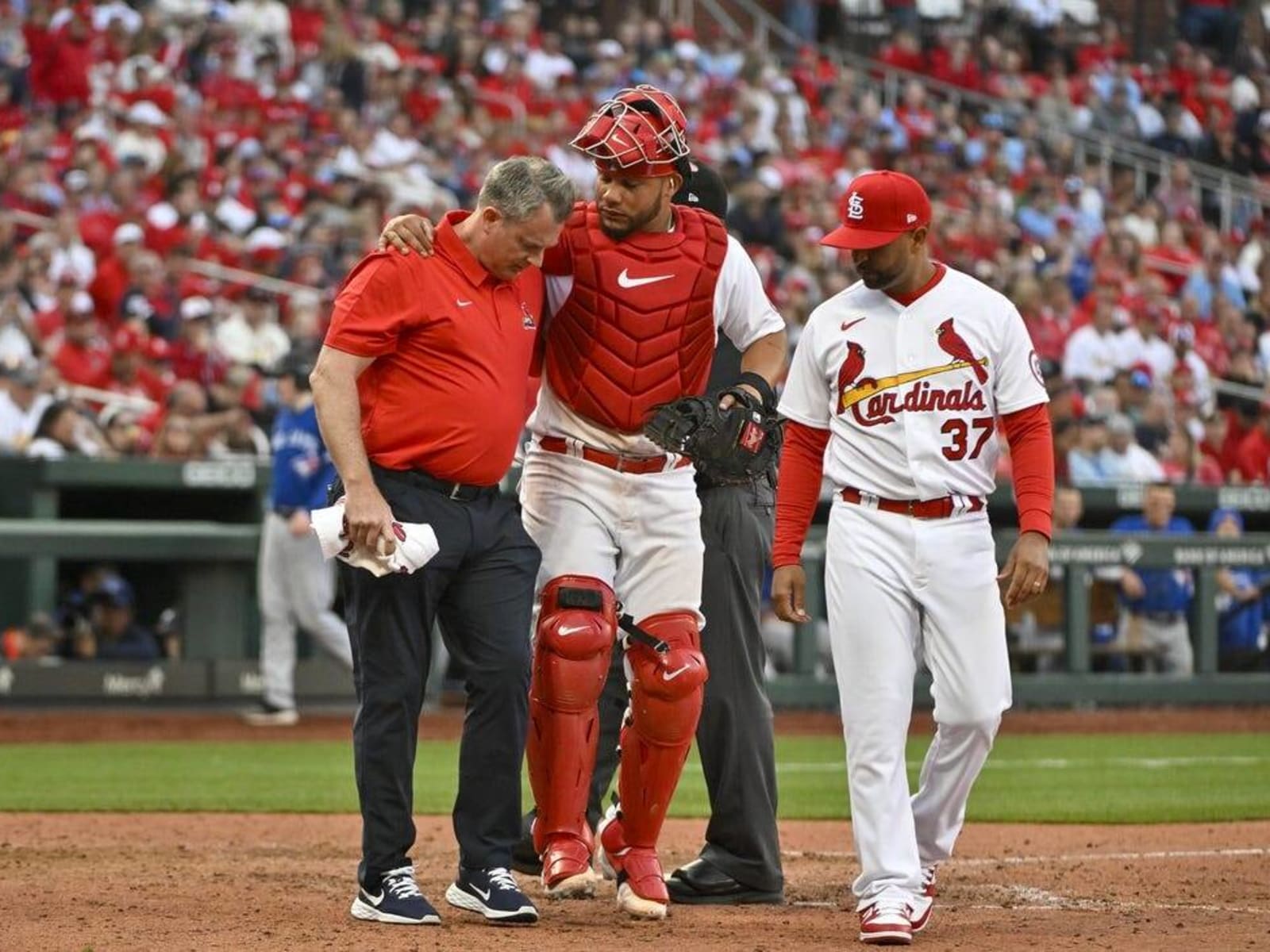 Clean MRI for Cardinals' Willson Contreras after pitch to knee - ESPN