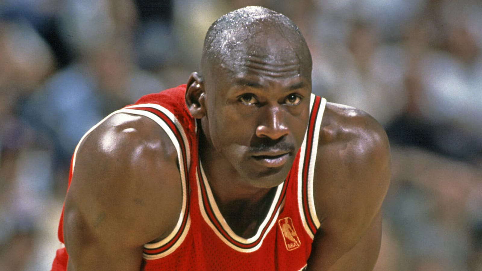 Teams michael outlet jordan played for
