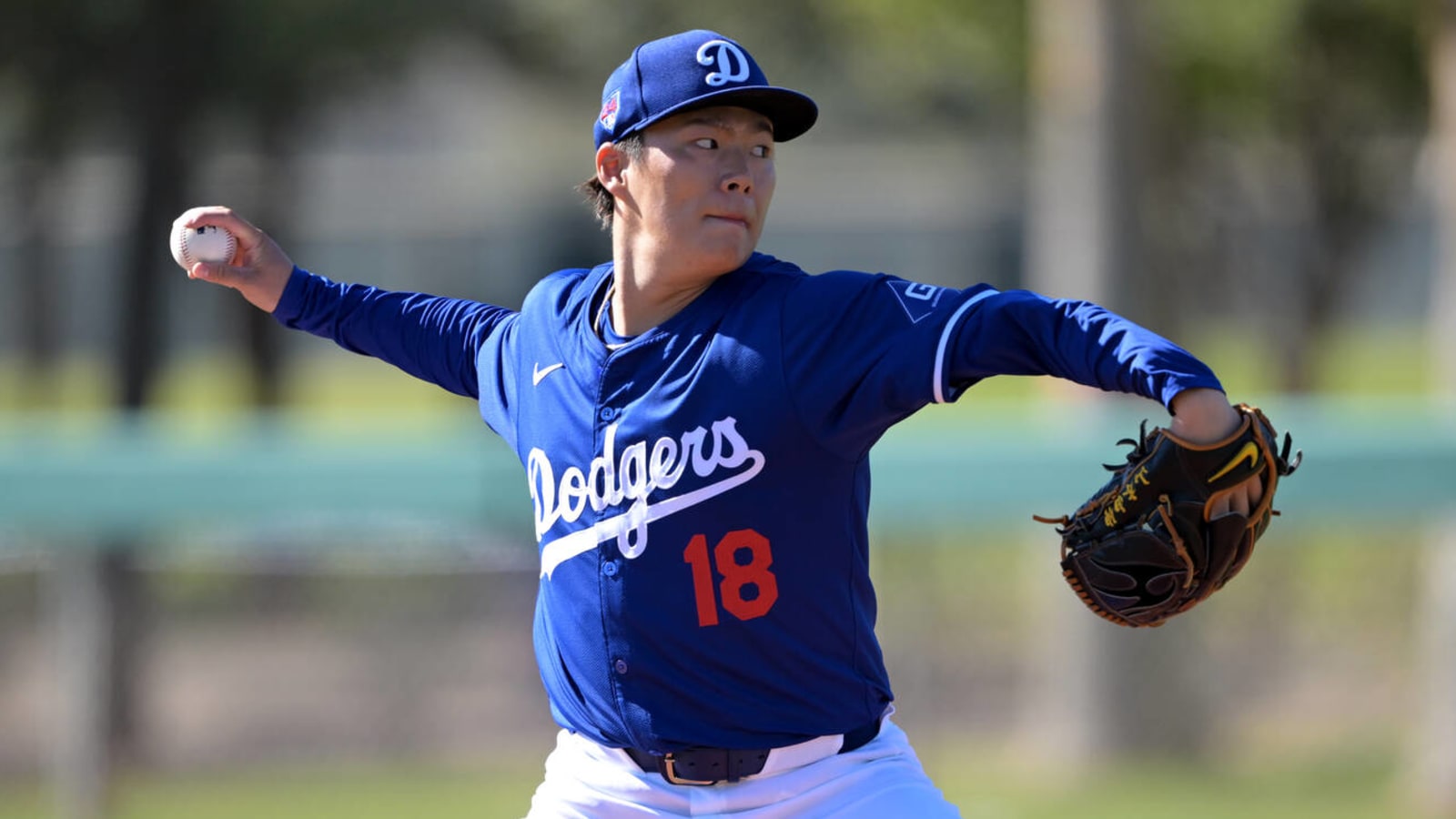 Report shows how much NL East team wanted Yoshinobu Yamamoto Yardbarker
