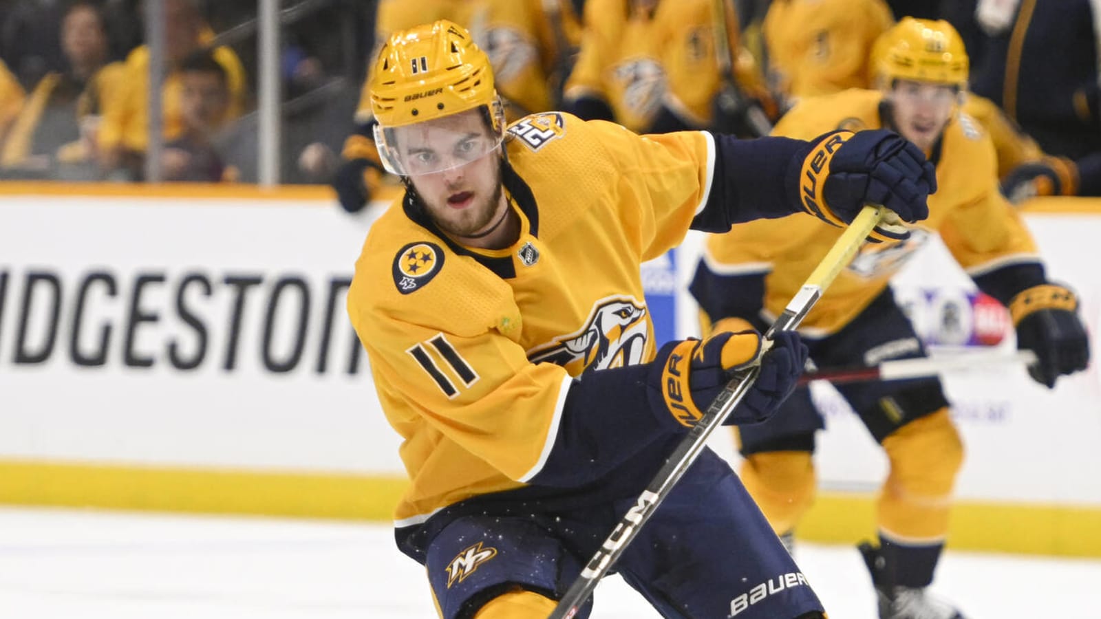 Predators place recently claimed forward on waivers
