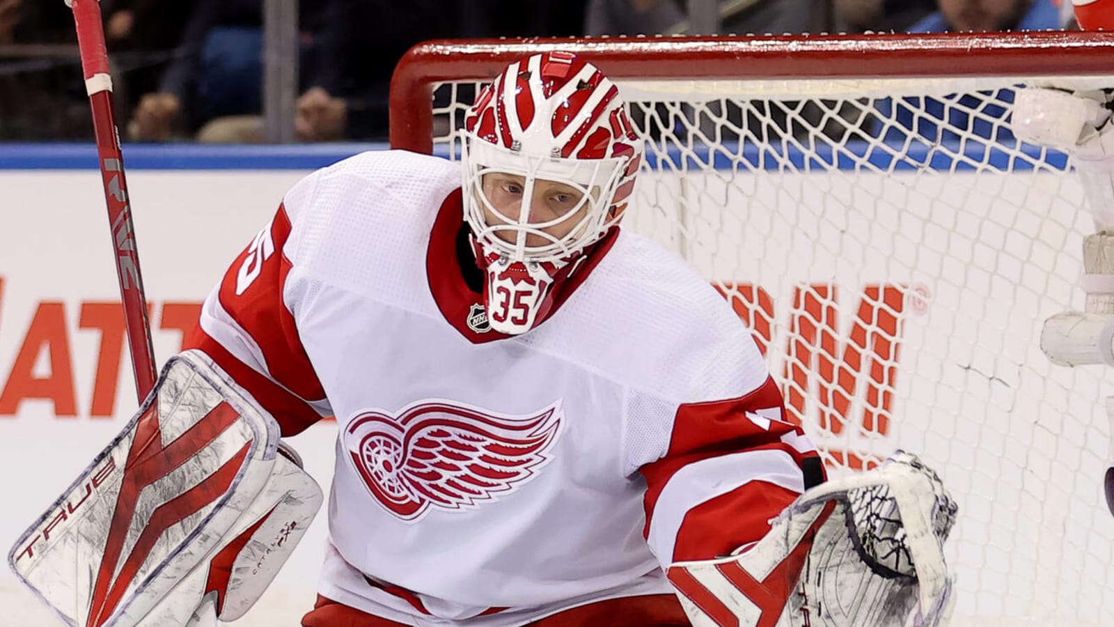 Red Wings recall veteran goalie from conditioning loan