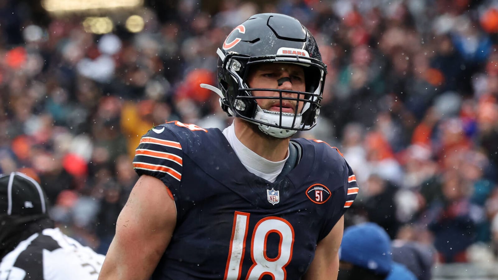 Former Bears, Packers TE signs with another NFC North team