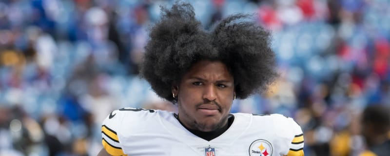 Former Steelers top-10 pick lands with NFC North rival