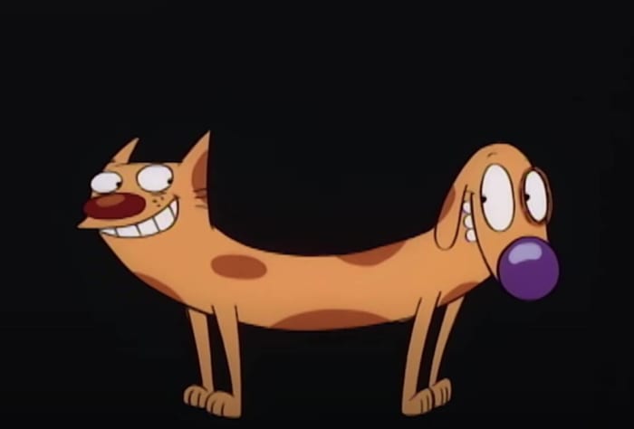 'CatDog'