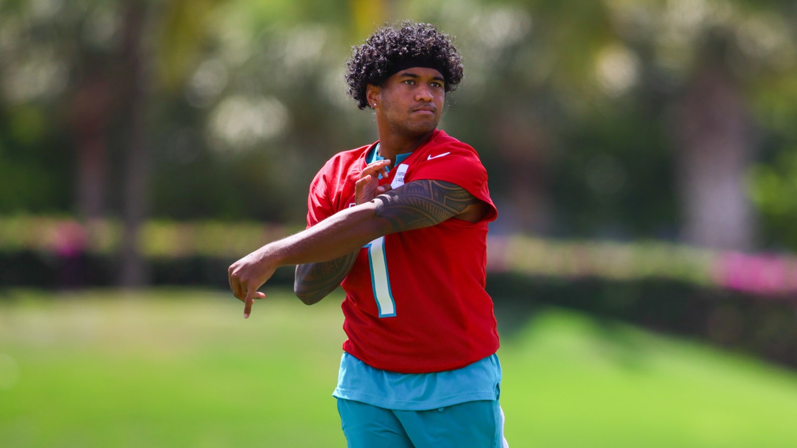 Magic 8 ball predictions for the Miami Dolphins in 2024