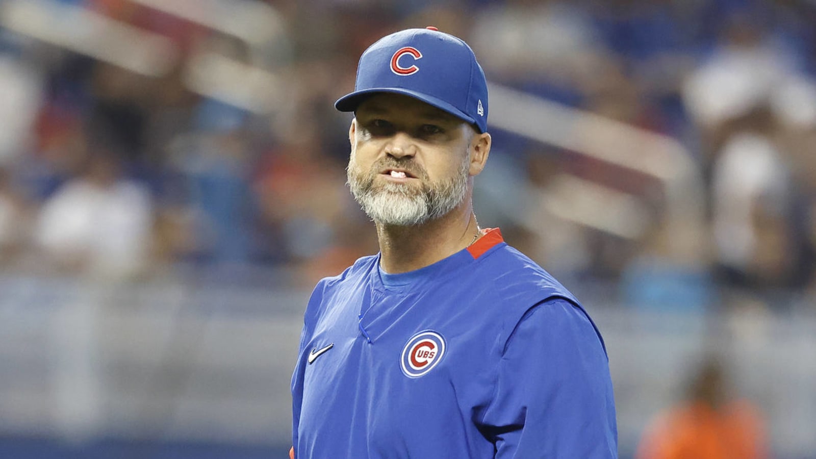 David Ross, Cubs in 'preliminary talks' about extension