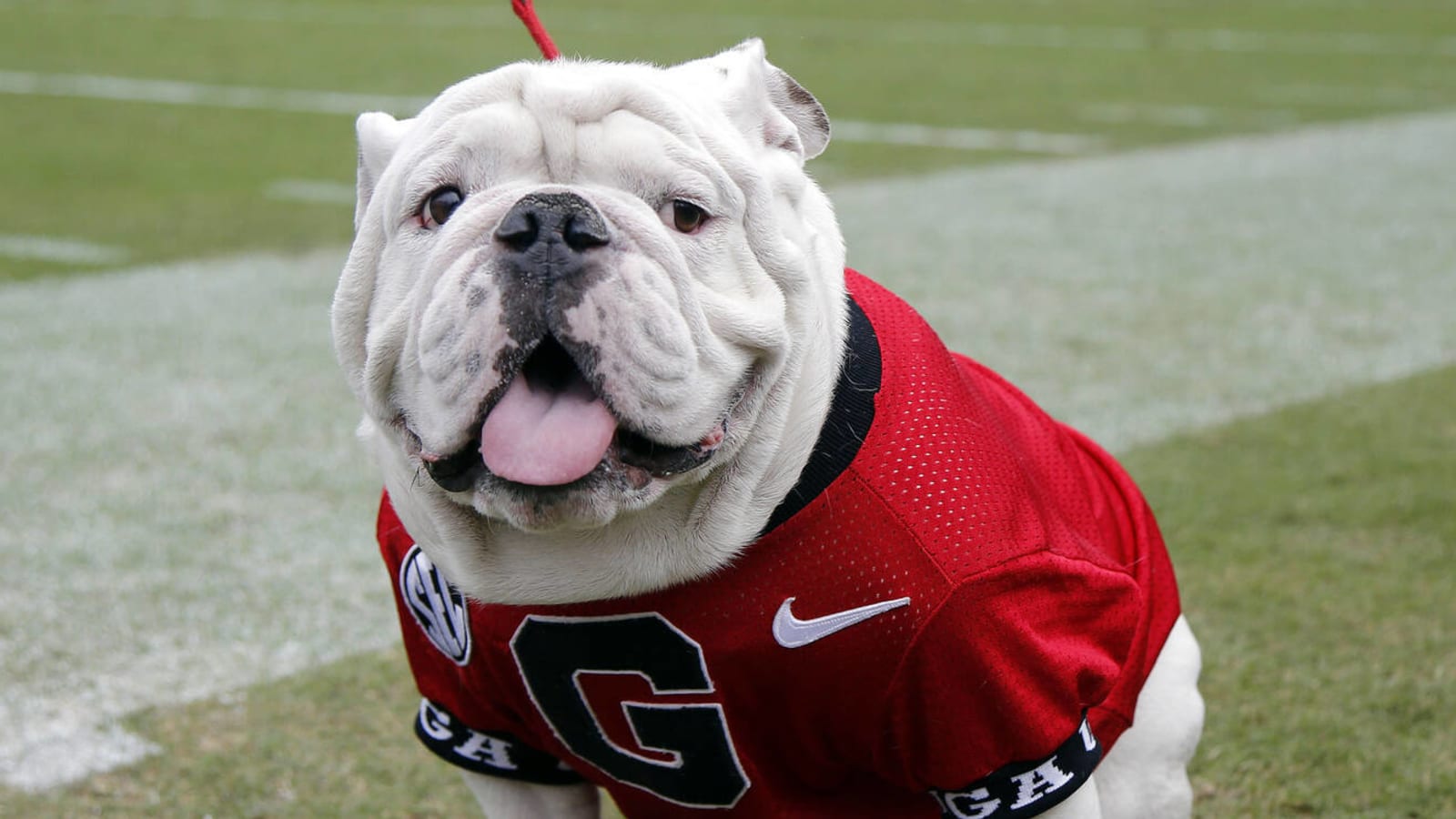 University of retiring winningest mascot in school's history