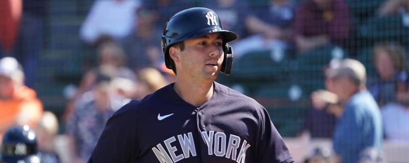 Kyle Higashioka - MLB News, Rumors, & Updates