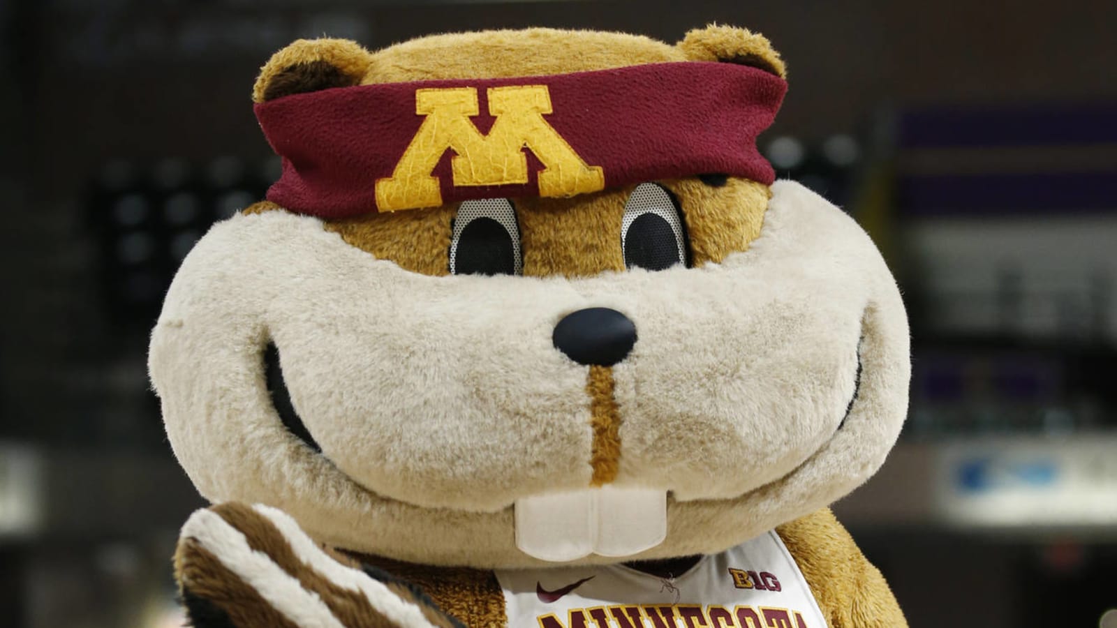 Minnesota men's basketball program pauses activities due to COVID-19