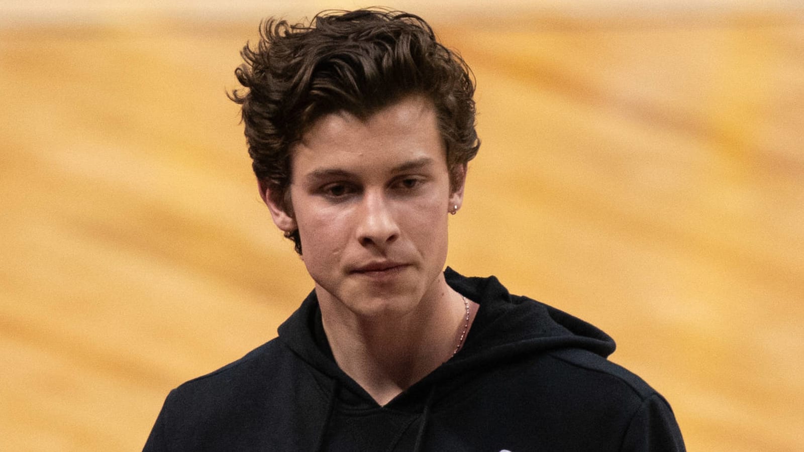Shawn Mendes takes a snowy stroll in 'It'll Be Okay' video