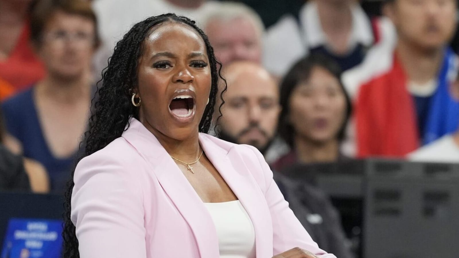 Chicago Sky Make Coaching Move Before 2025 WNBA Season