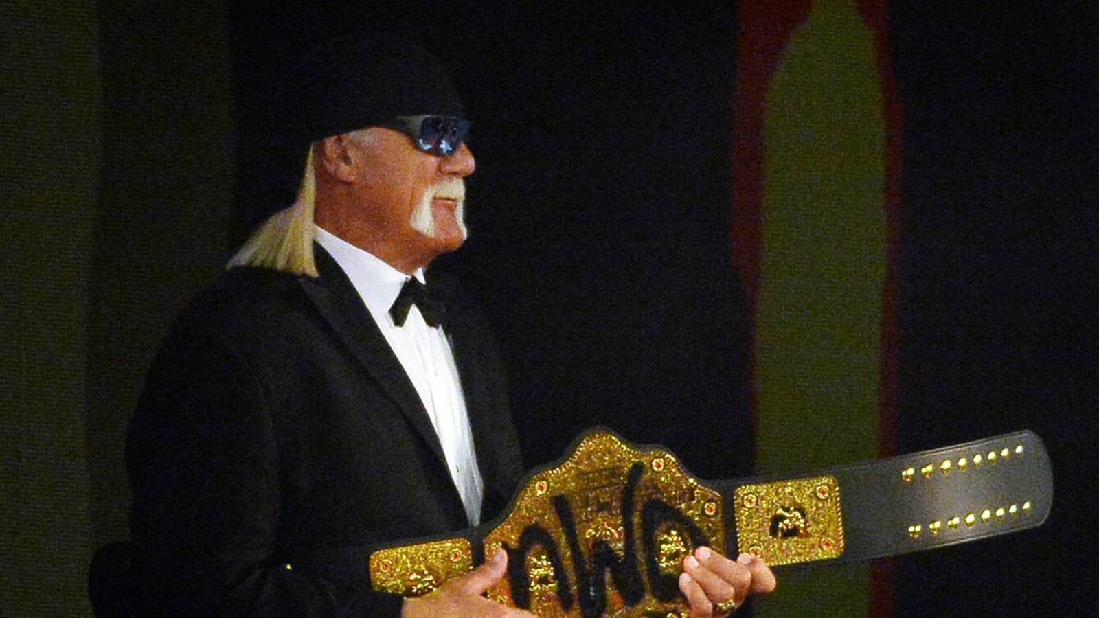 Who Is Terry Gene 'Hulk Hogan' Bollea IRL?