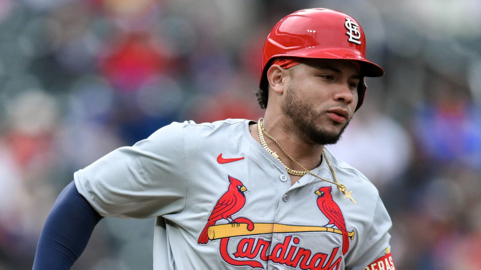 Cardinals catcher's injury timeline revealed