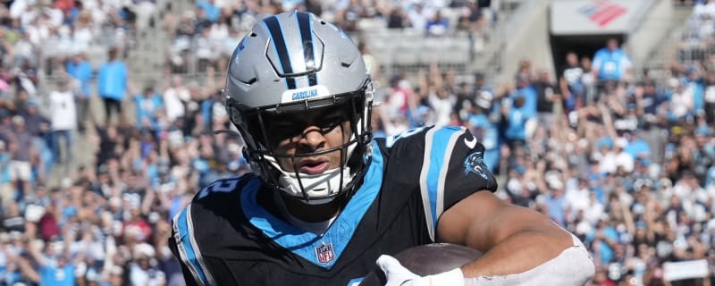 Panthers TE fined for play that resulted in his concussion