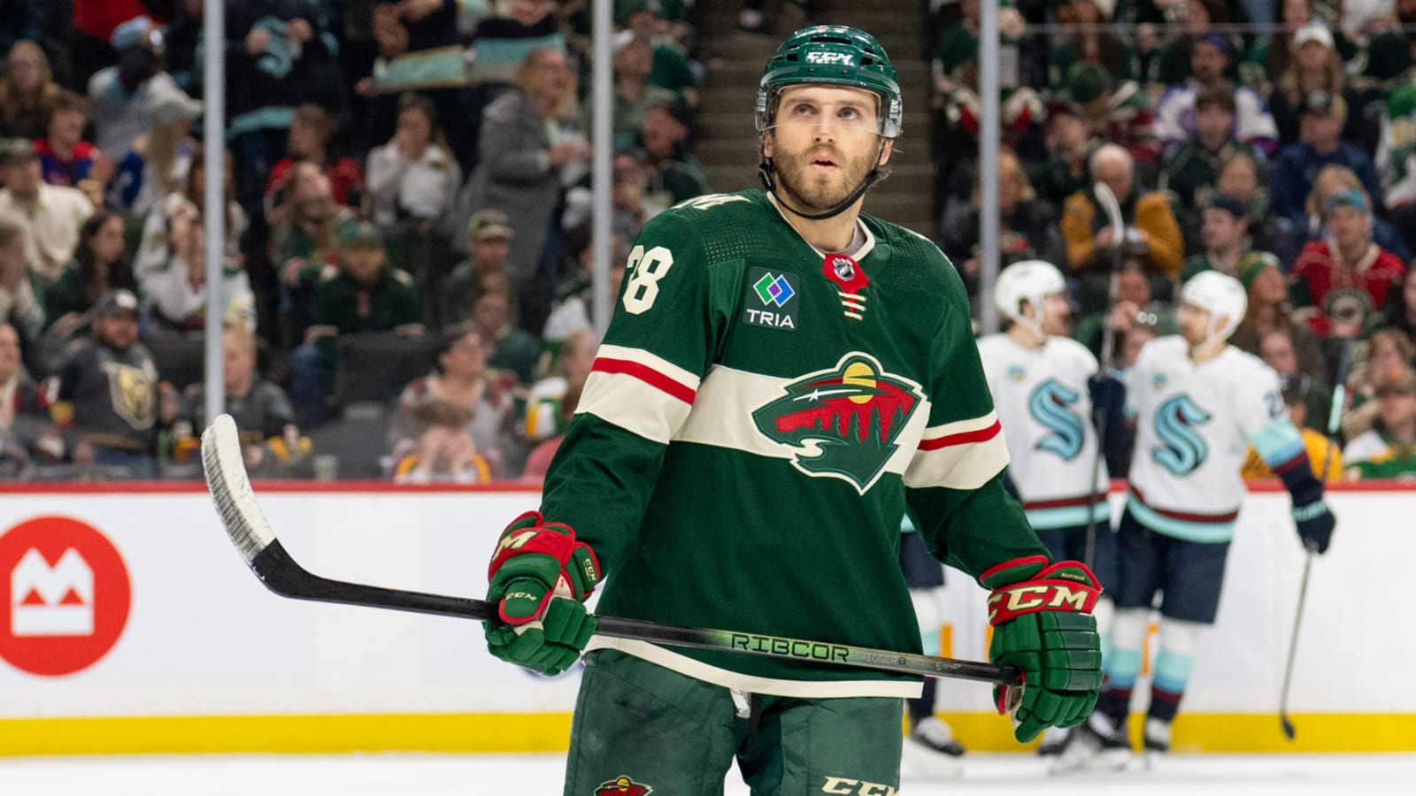 Summer Synopsis: Minnesota Wild