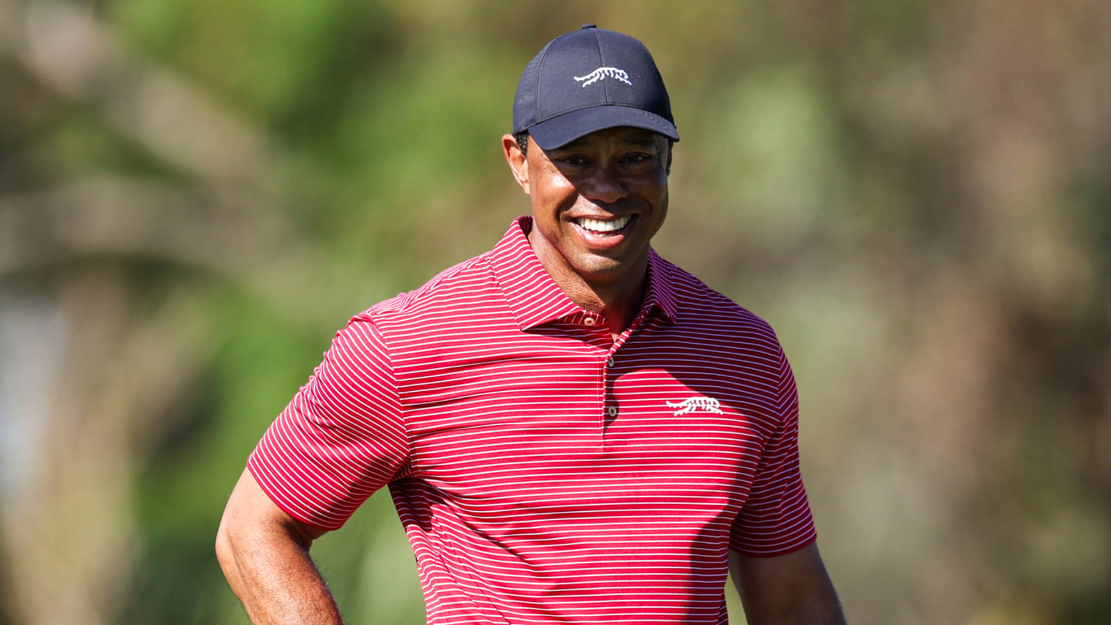 Tiger Woods Gets $10 Million in PIP Hijack